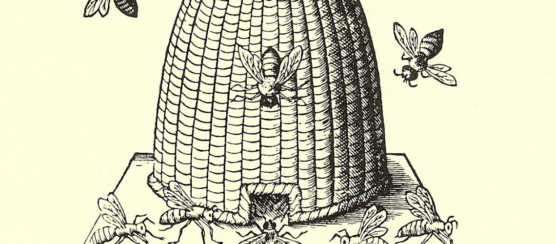 bee-skep-image-full-size1